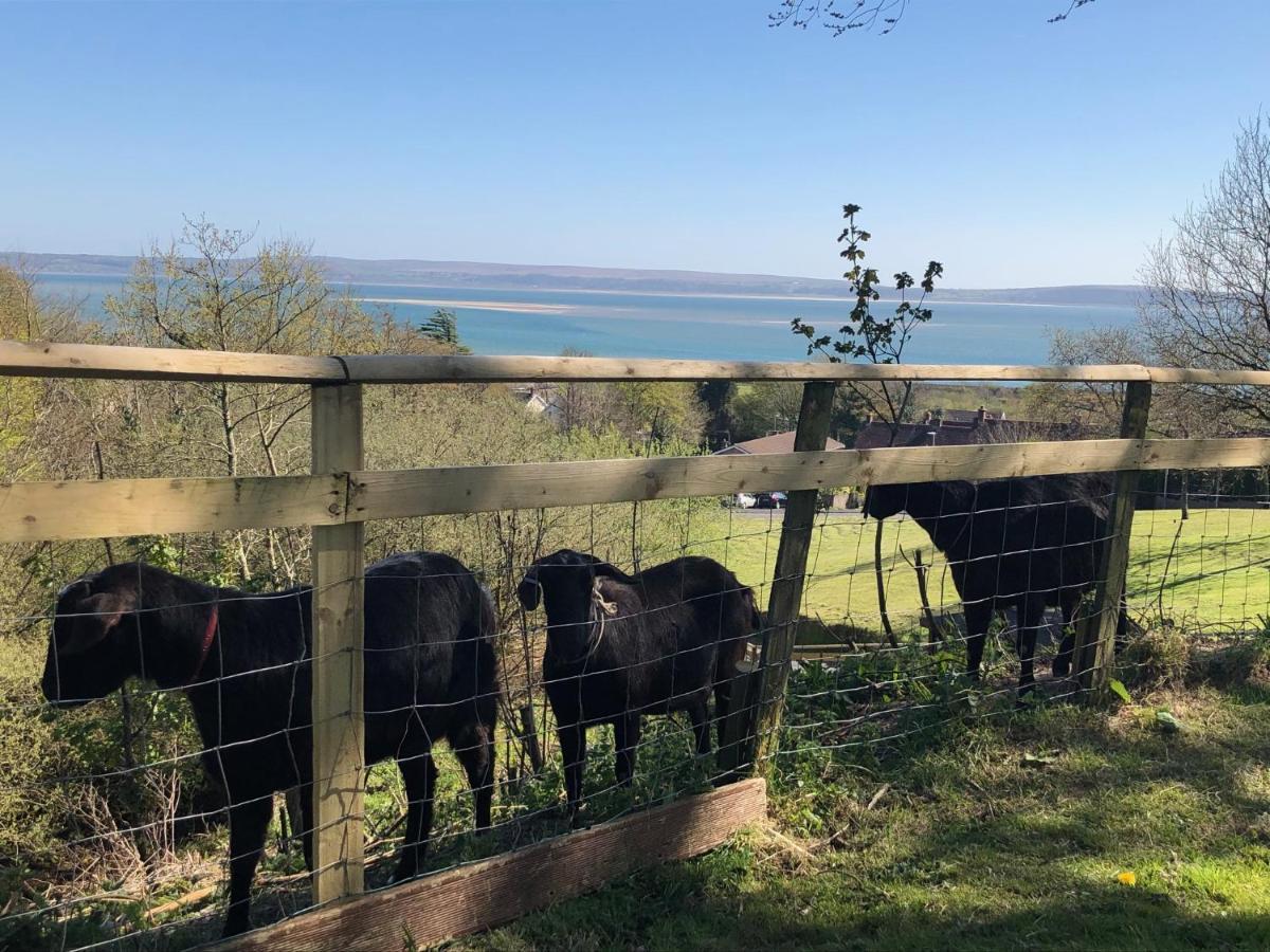 Bronllys Farm Coastal Self-Catering Apartment Llanelli Bagian luar foto