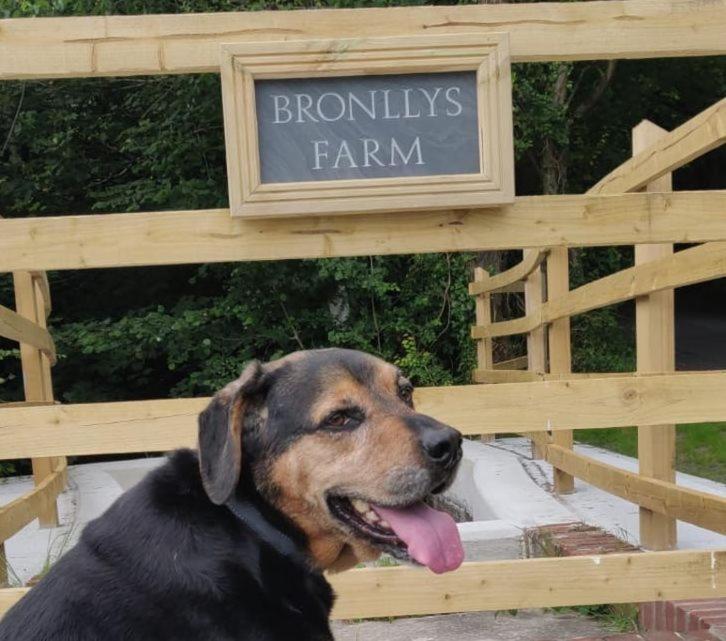 Bronllys Farm Coastal Self-Catering Apartment Llanelli Bagian luar foto